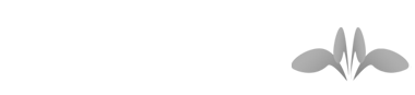 http://www.pec-consult.de